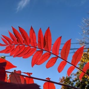 Meet your Posher, Kyna